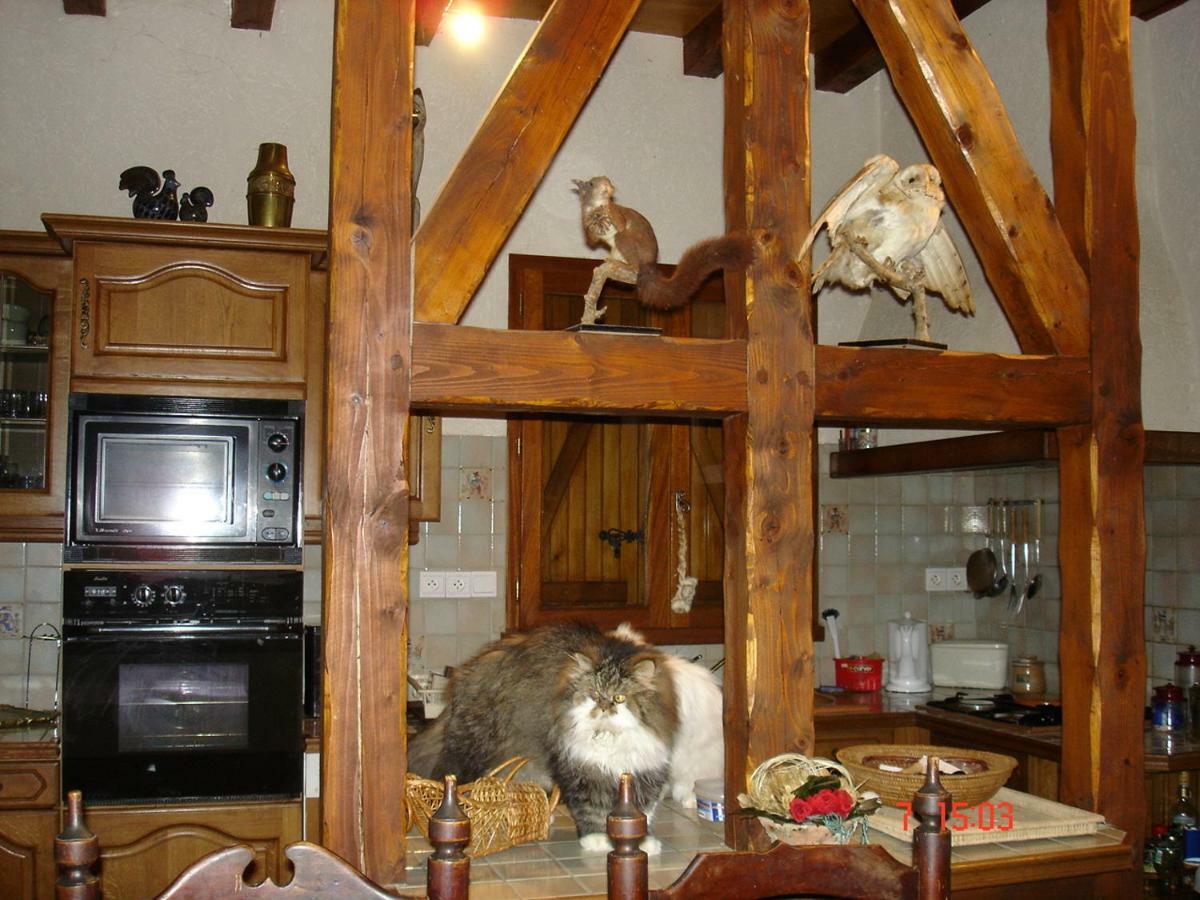 gîte Vallée des Nestes Bareilles Extérieur photo